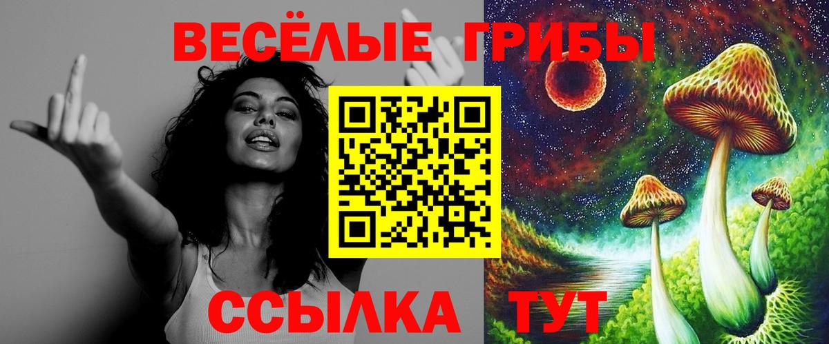 Галлюциногенные грибы прущие грибы  Вход с VPN  Псилоцибиновые грибы ЛСД  Иркутск 